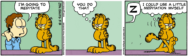 Garfield on Meditation